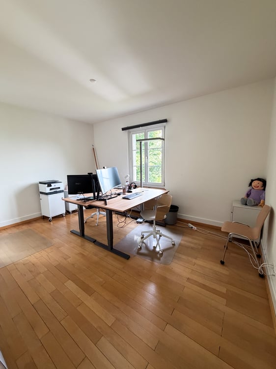 Repräsentative Gewerbefläche in der historischen Villa Hünerwadel 4