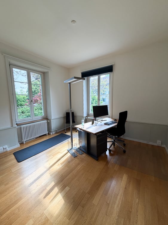 Repräsentative Gewerbefläche in der historischen Villa Hünerwadel 7