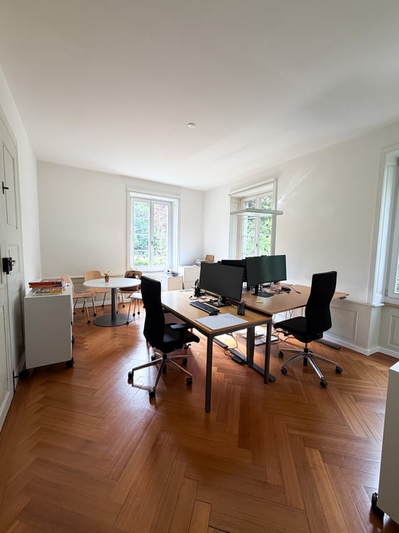 Repräsentative Gewerbefläche in der historischen Villa Hünerwadel 5