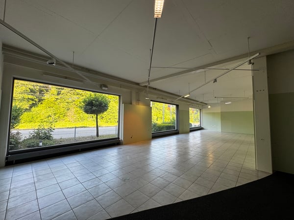 Vielseitige Gewerbefläche im Erdgeschoss 335 m² 4