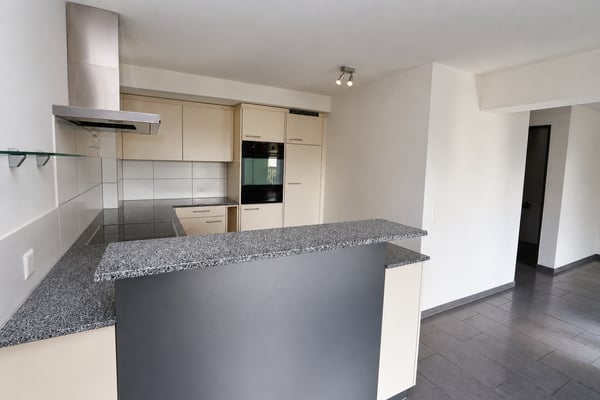 5.5-Zimmer-Einfamilienhaus mit Lift und grosser Terrasse 2