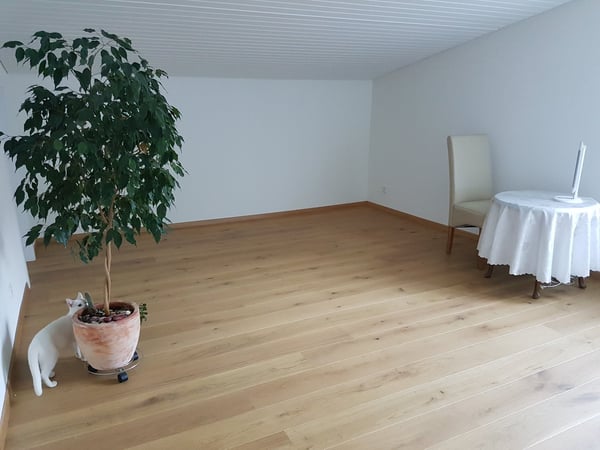 Charmantes 5-Zimmer-Einfamilienhaus in Gränichen 10