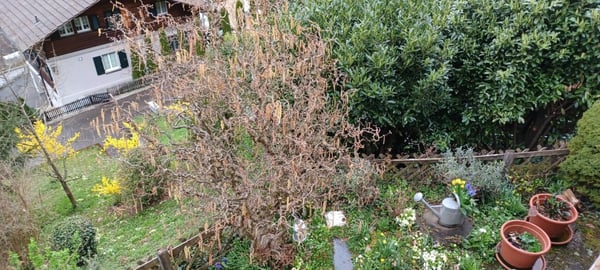 1-Zimmer-Eck-Einfamilienhaus mit Seesicht 2