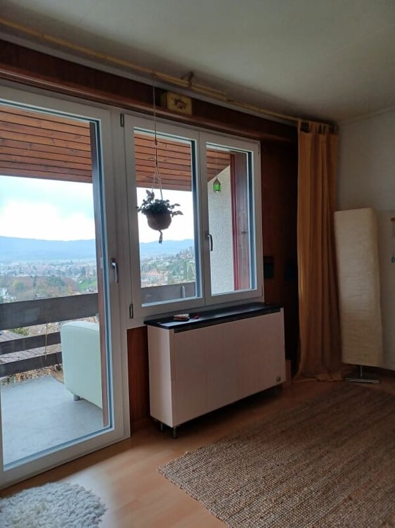 1-Zimmer-Eck-Einfamilienhaus mit Seesicht 6