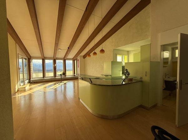 Grosszügiges Terrassenhaus 3