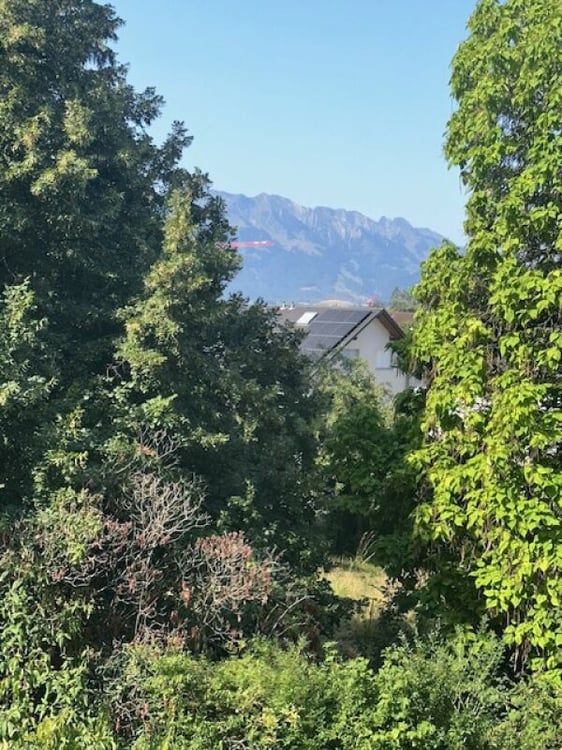 Helle 3-Zimmer-Wohnung, mit Blick ins Grüne 1