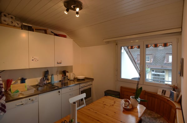 Preiswerte Dachwohnung mit Terrasse 2