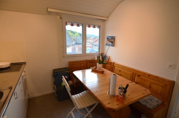 Preiswerte Dachwohnung mit Terrasse 3