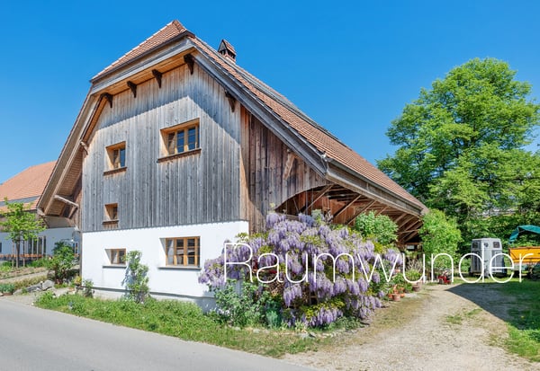 Saniertes Bauernhaus im Dorfkern 1
