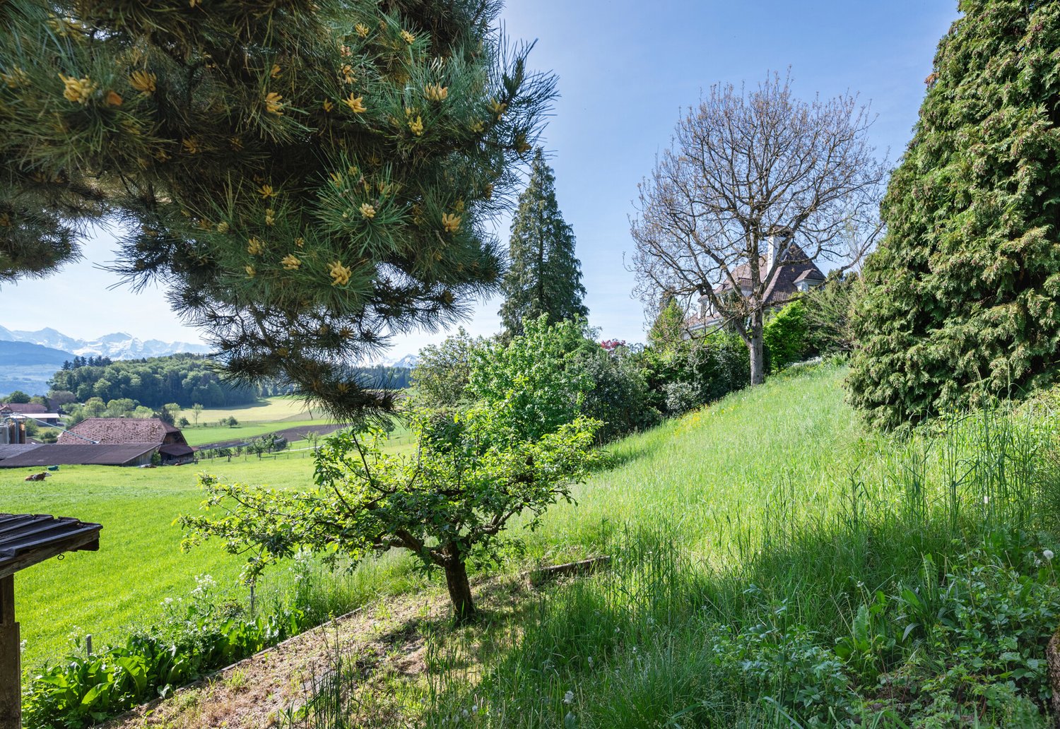 Immobilie in Belpberg - RieghausmitgrossemGartenantraumhafterPanoramalage - Bild 3