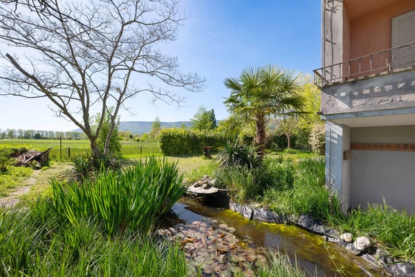 Charmantes Einfamilienhaus am Ufer der idyllischen Zihl 6