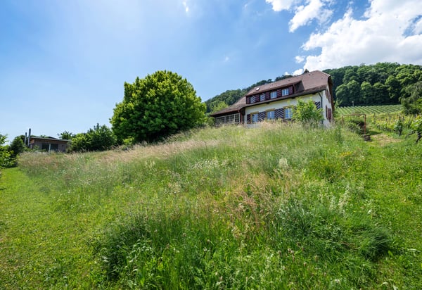 Landliebe im Herzen der Rebberge 5