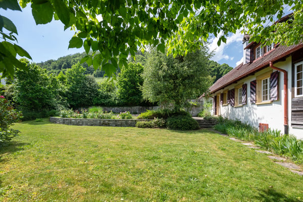Landliebe im Herzen der Rebberge 4