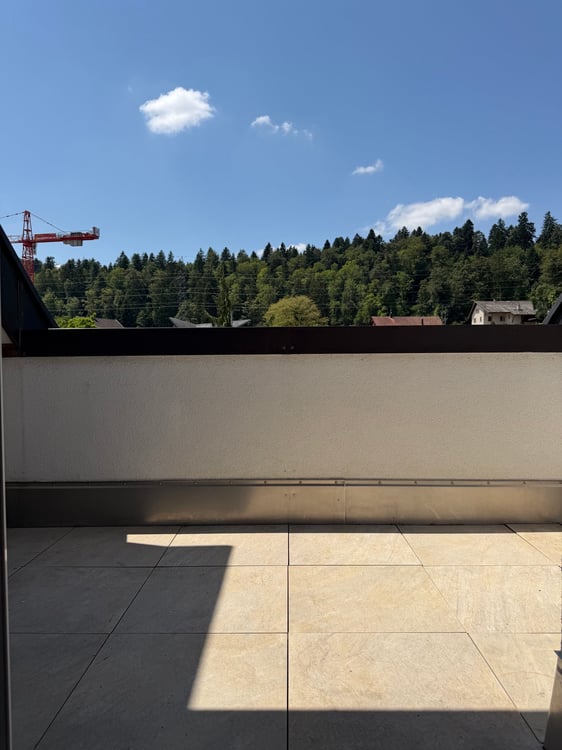 Charmante 3.5-Zimmer-Dachwohnung mit Cheminée und Terrasse 3