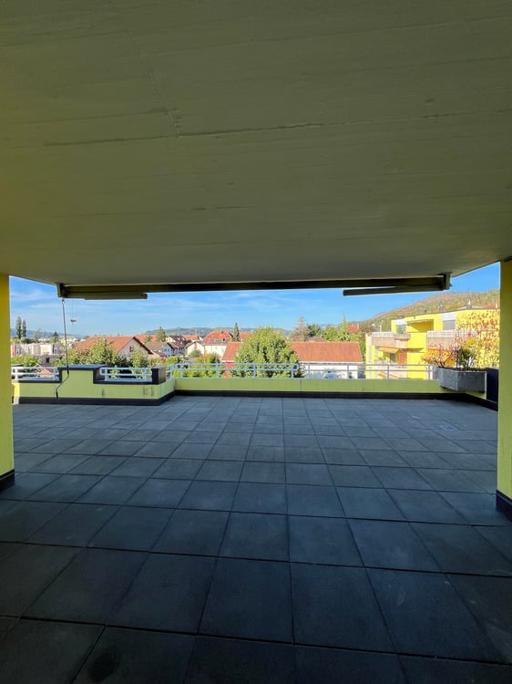 Grosszügige 4.5-Zimmer-Dachwohnung mit Riesenterrasse 18