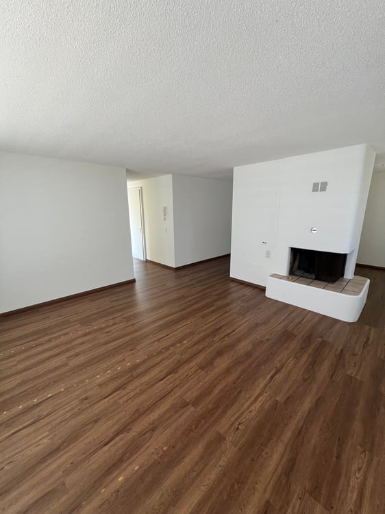 Grosszügige 4.5-Zimmer-Dachwohnung mit Riesenterrasse 3