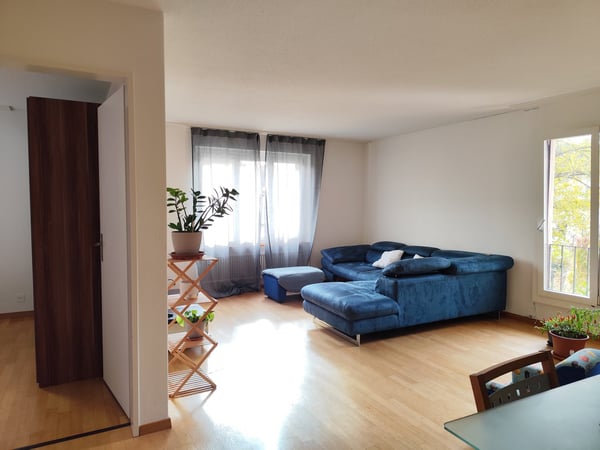 Helle 1.5-Zimmer-Wohnung in Buchs 2
