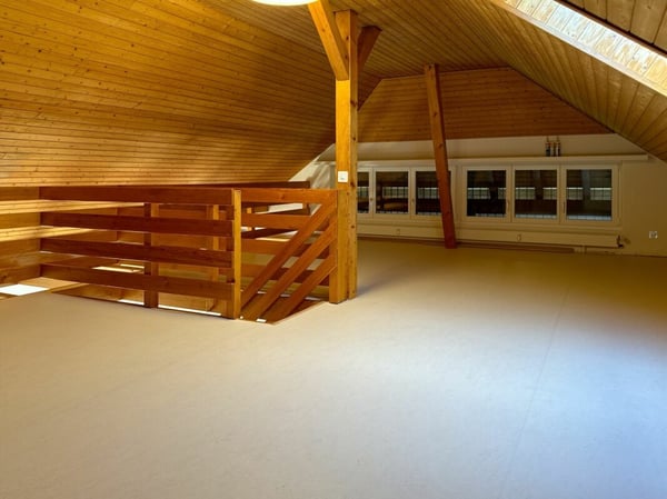 Sanierte 1 1/2-Zimmer-Dachwohnung mit Galerie 10