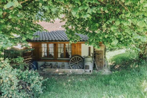 Charmantes Einfamilienhaus mit Garten und viel Potenzial in Melchnau 4