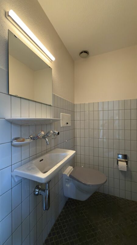 Wohnen und Arbeiten unter einem Dach: Grosszügige 11.5-Zimmer-Liegenschaft in Langenthal