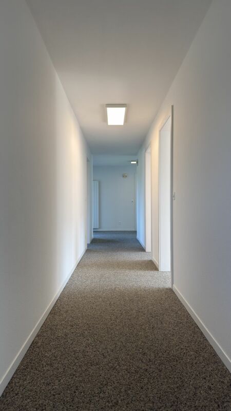 Frisch sanierte 5.5-Zimmer-Wohnung mit 2 Balkonen und traumhafter Aussicht ins Grüne