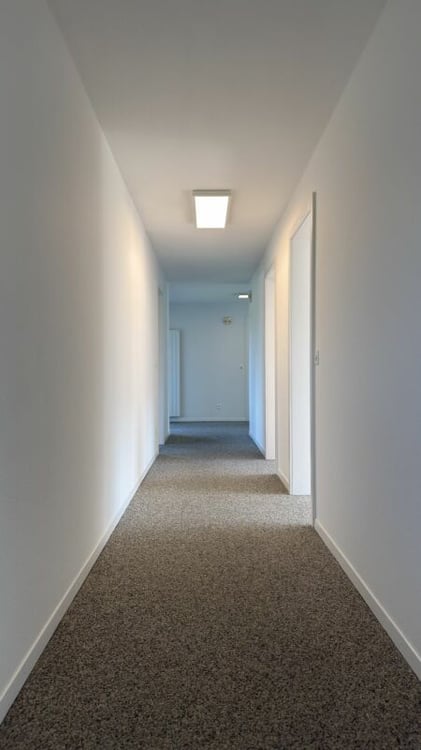 Frisch sanierte 5.5-Zimmer-Wohnung mit 2 Balkonen und traumhafter Aussicht ins Grüne 8