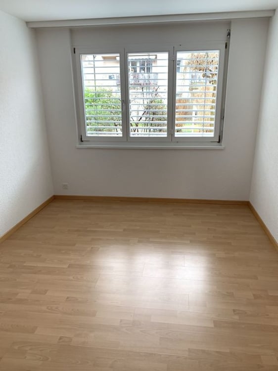 4 1/2-Zimmerwohnung im Erdgeschoss 5