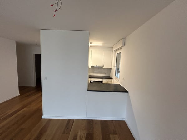 Moderne grosszügige 4.5 Zimmerwohnung mit Flair - Stadtnah und doch ruhig 3