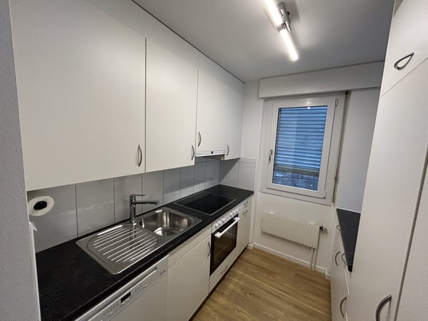Moderne grosszügige 4.5 Zimmerwohnung mit Flair - Stadtnah und doch ruhig 5