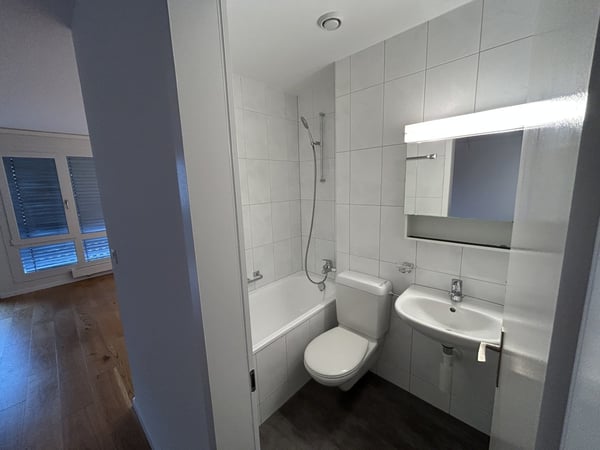 Moderne grosszügige 4.5 Zimmerwohnung mit Flair - Stadtnah und doch ruhig 10