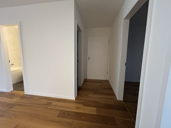 Moderne grosszügige 4.5 Zimmerwohnung mit Flair - Stadtnah und doch ruhig 4