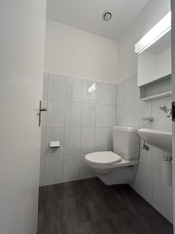 Moderne grosszügige 4.5 Zimmerwohnung mit Flair - Stadtnah und doch ruhig 11