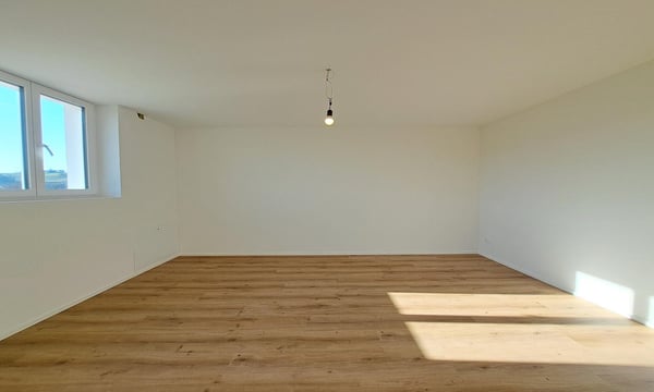 3'084 m² sonniges Hangparadies - mit renditestarkem Dreifamilienhaus 23
