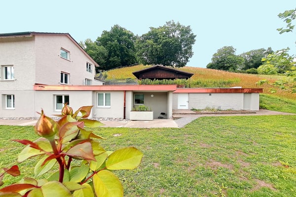 3'084 m² sonniges Hangparadies - mit renditestarkem Dreifamilienhaus 2