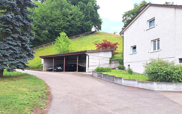 3'084 m² sonniges Hangparadies - mit renditestarkem Dreifamilienhaus 7