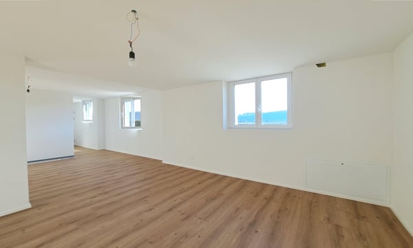 3'084 m² sonniges Hangparadies - mit renditestarkem Dreifamilienhaus 22