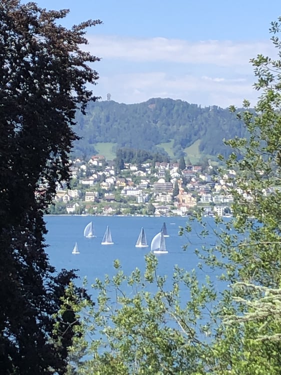 Helle, moderne Wohnung mit Seesicht