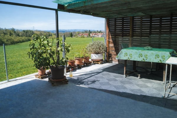 Charmantes 1.5-Zimmer-Einfamilienhaus mit Studio, Werkraum und Garten 6