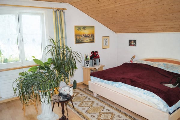 Charmantes 1.5-Zimmer-Einfamilienhaus mit Studio, Werkraum und Garten 7