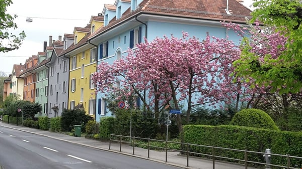zentrale 2½ Zimmer-Dachwohnung, moderne Küche und Bad 11