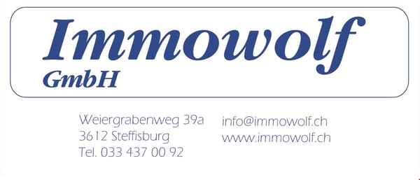 zentrale 2½ Zimmer-Dachwohnung, moderne Küche und Bad 10