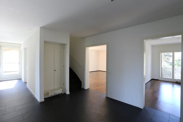 Grosszügige 1-Zimmer-Maisonette-Wohnung mit Dachterrasse in Basel 5