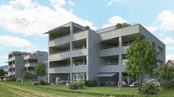 Wertbeständige Investition in Däniken (SO) 2