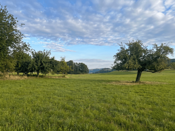 4.5 Zimmer-Wohnung in Seftigen 8