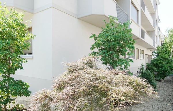 WG-301 - moderne 3-Zimmerwohnung im 3. Obergeschoss 8