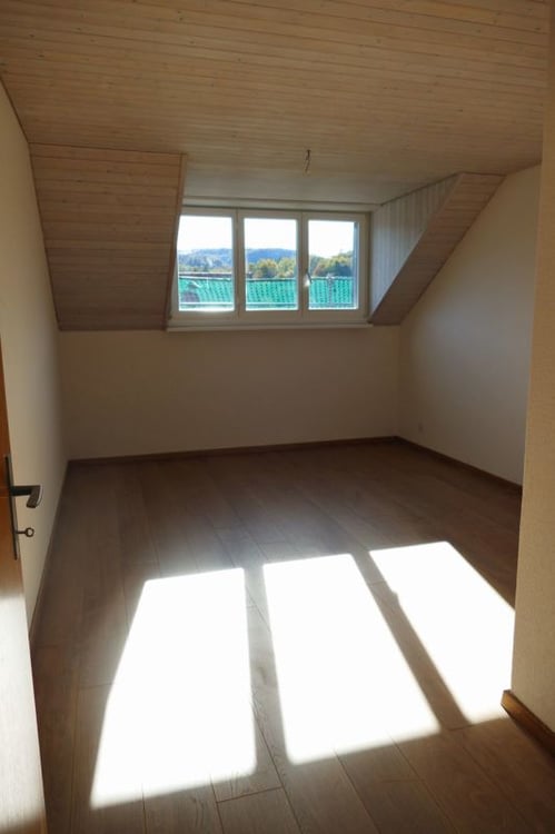 3.5-Zimmer-Dachwohnung
