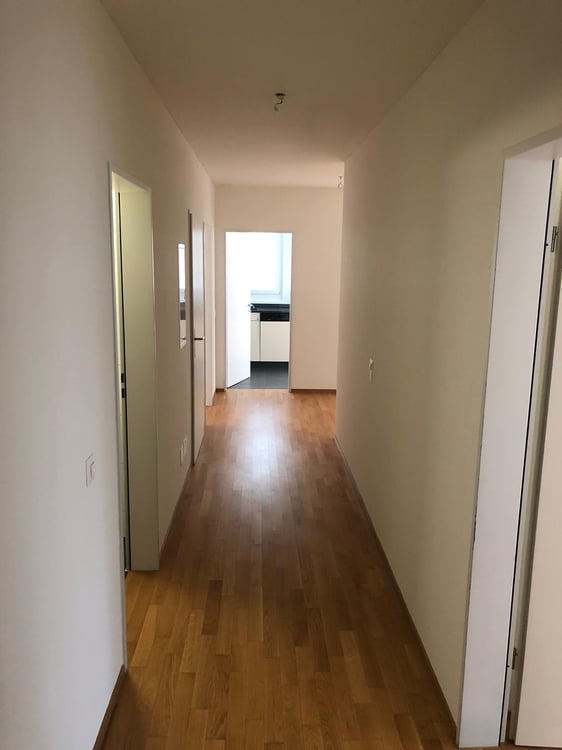 Helle und ruhige 2.5-Zimmerwohnung in Luzern 8