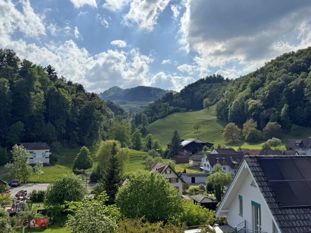 4.5-Zimmer-Einfamilienhaus im Grünen