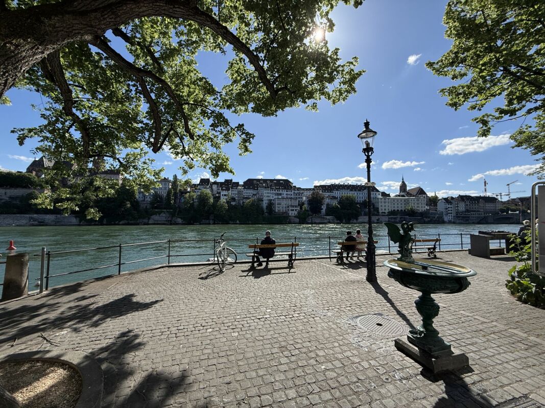 Einzigartige Altbauwohnung mit Blick auf den Rhein