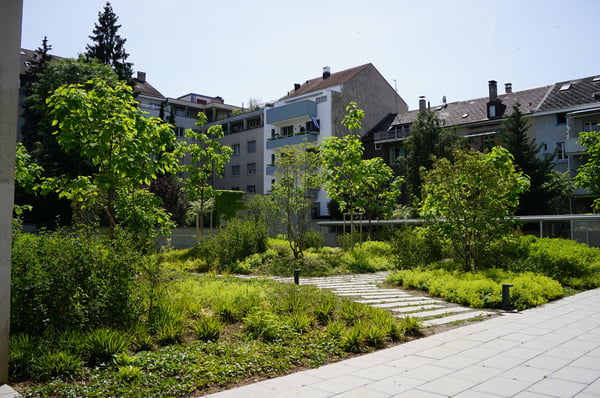 moderne Wohnung im Gotthelf-Quartier zu vermieten 1
